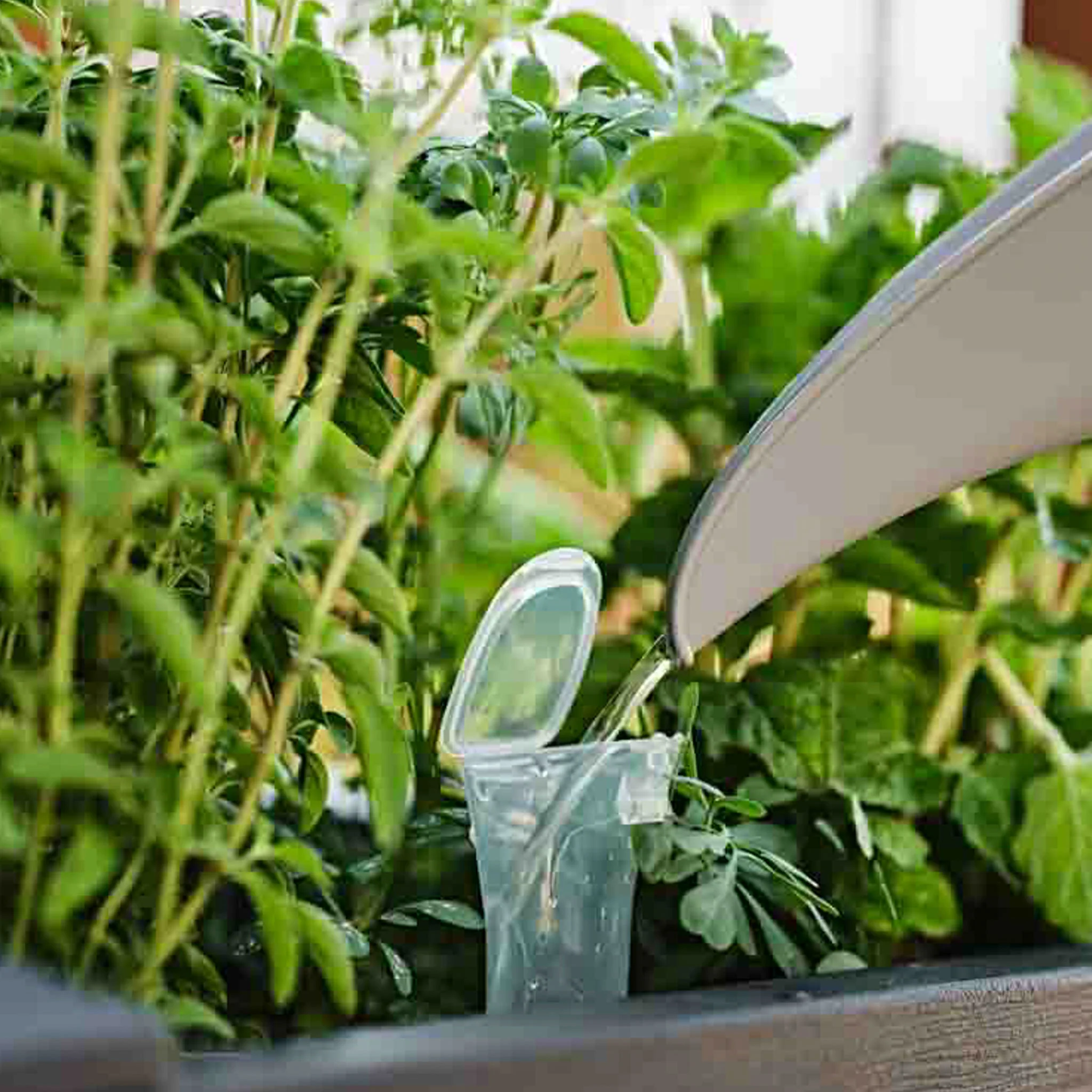 TERA Indicator de nivel apă ghiveci - Image 6