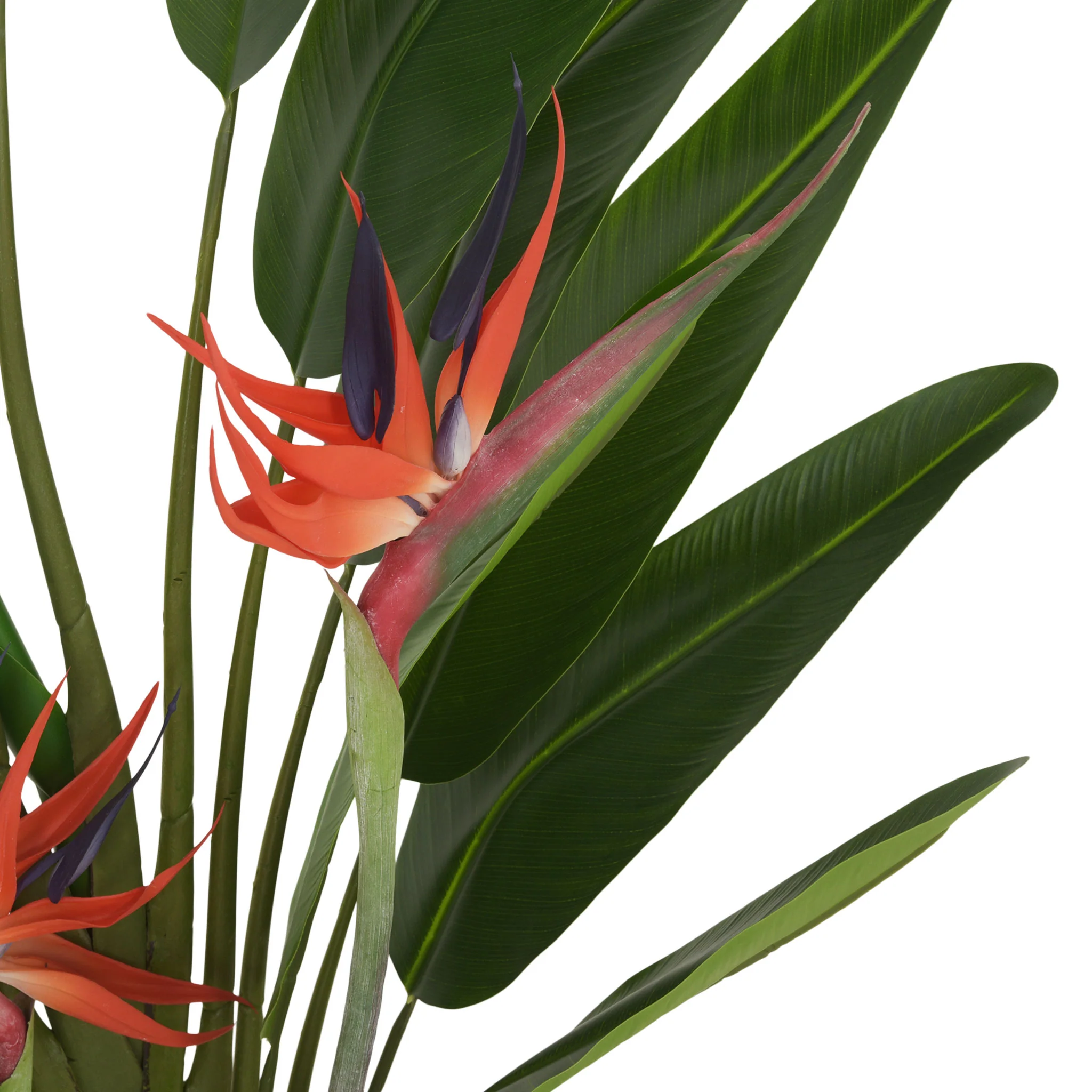 STRELITZIA Plantă artificială în ghiveci - Image 2