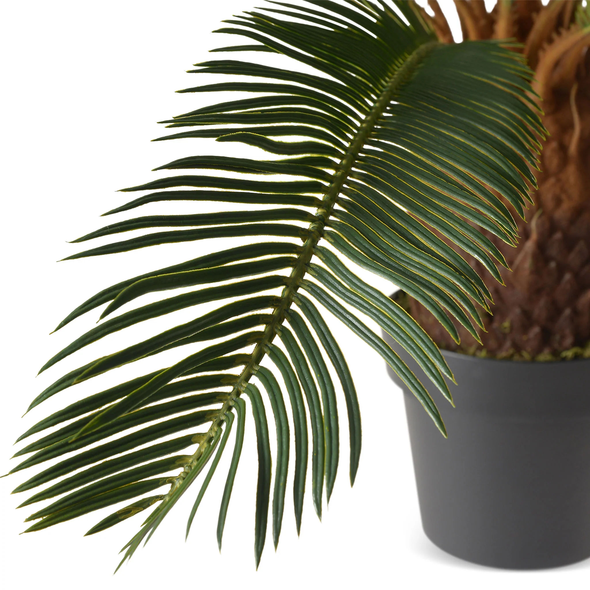CYCAS Copac artificial în ghiveci, H.93cm - Image 4
