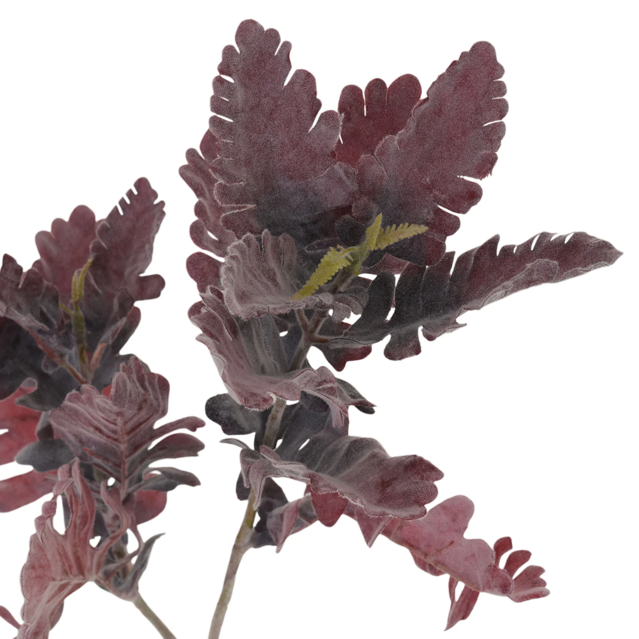 SENECIO Crenguță artificială - Image 2