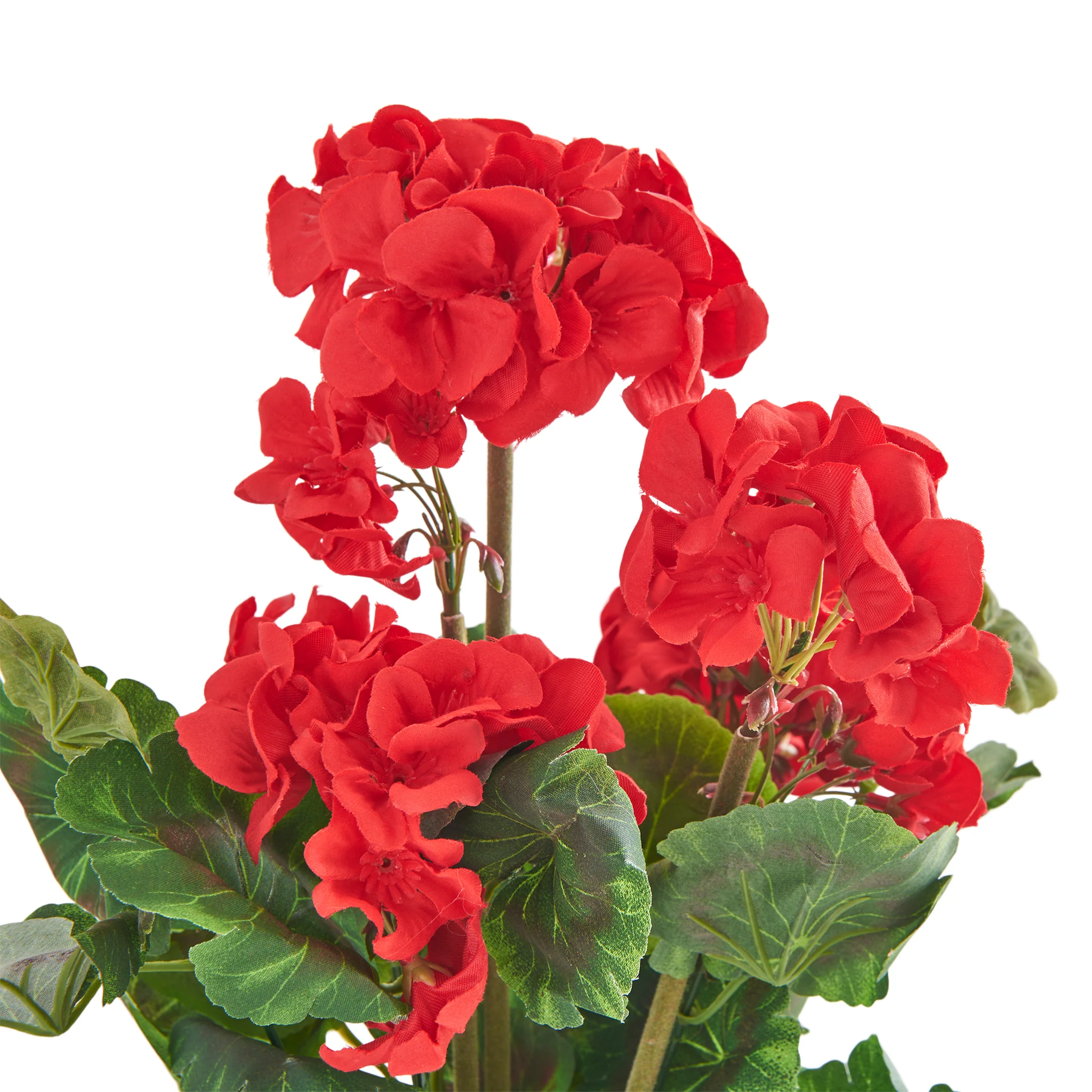 MUSCATA Floare artificială - Image 2