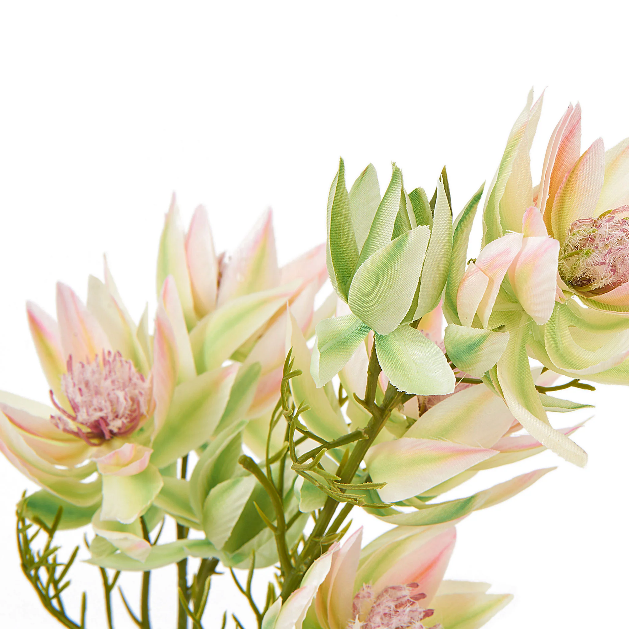 BRIDE PROTEA Floare artificială - Image 7