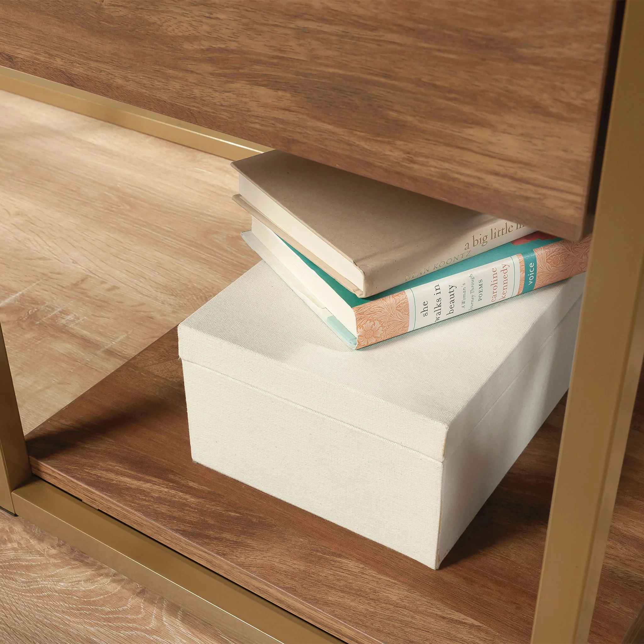 INT LUX Birou - Image 7
