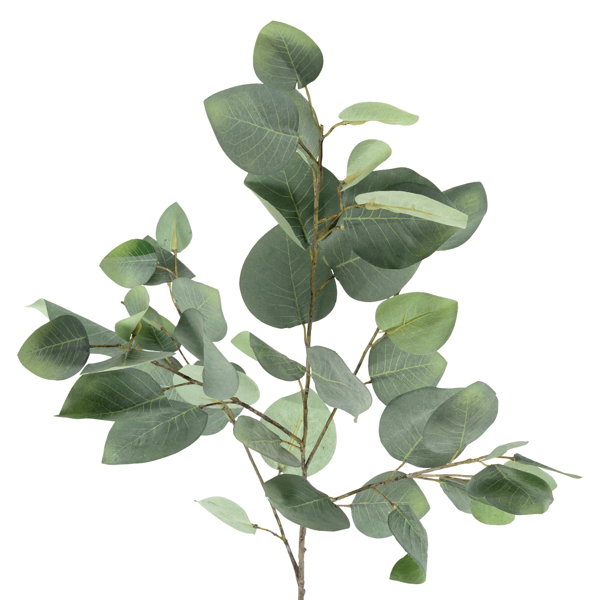 EUCALIPT Plantă artificială - Image 3