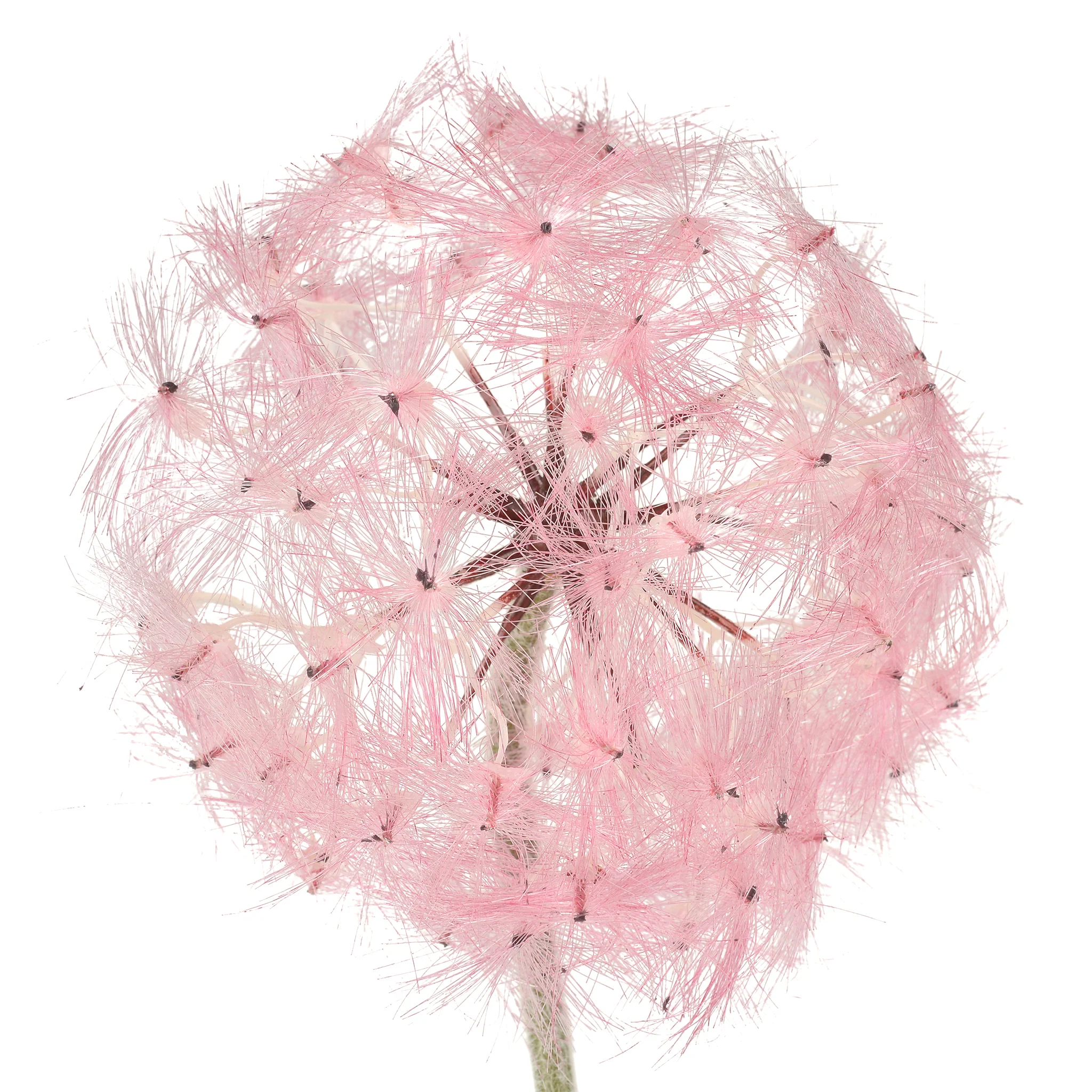 DANDELION Floare artificială - Image 2