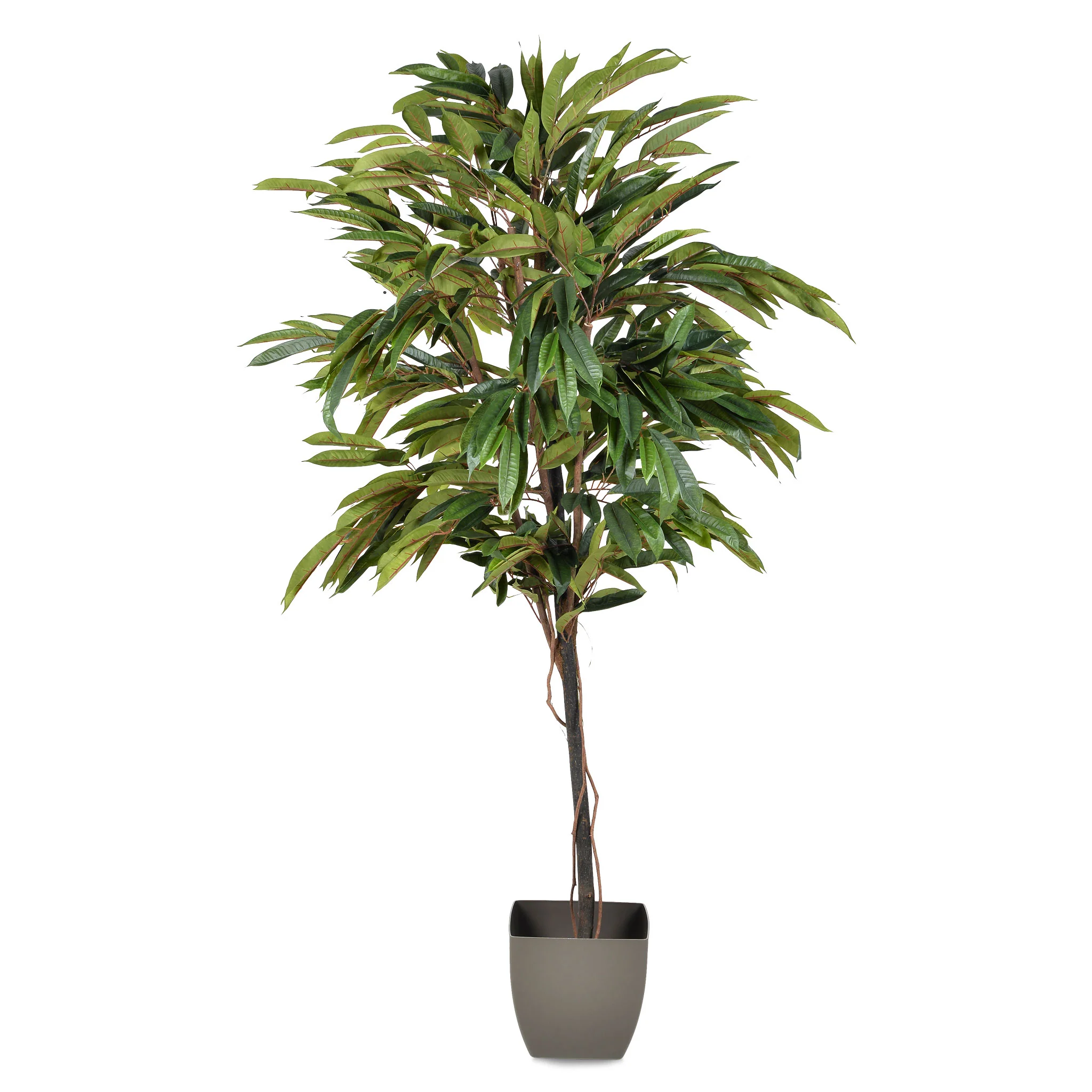 LONGIFOLIA Copac artificial în ghiveci, H.200cm - Image 2