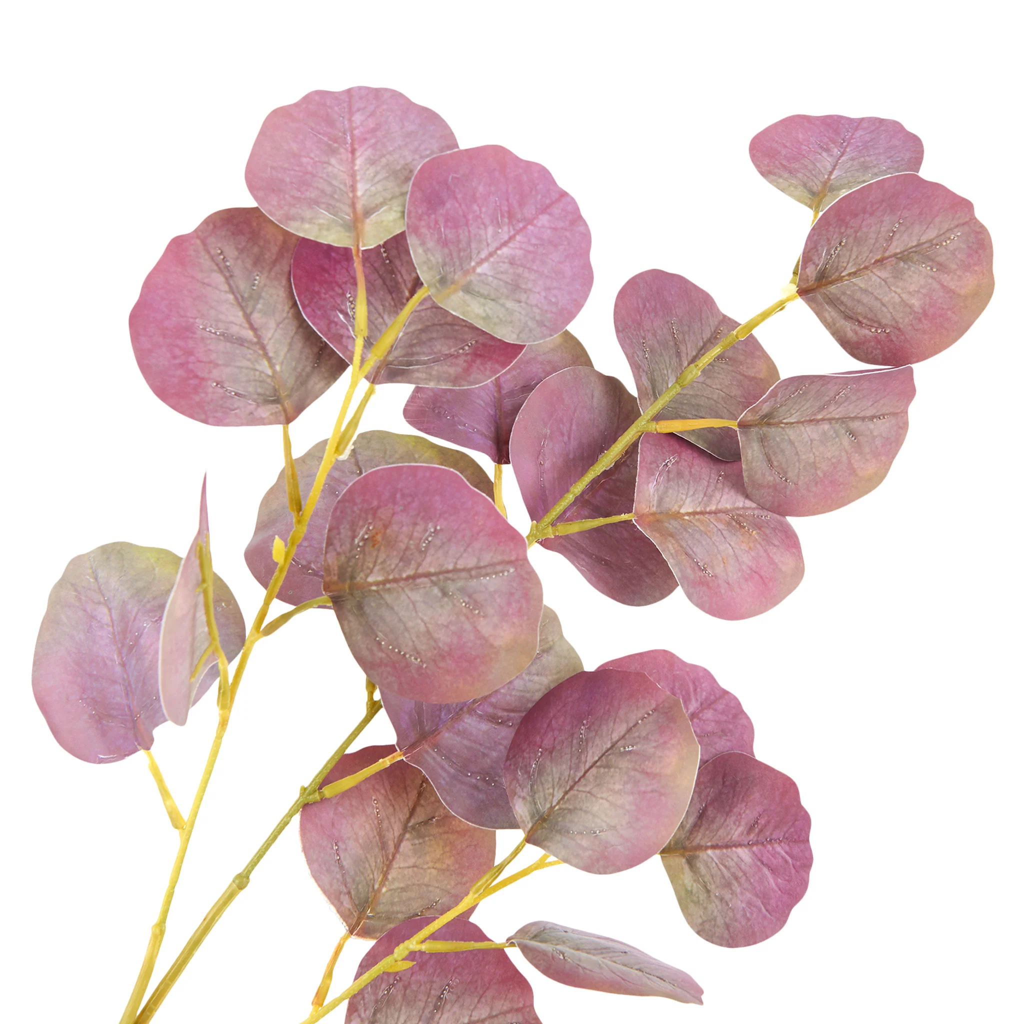 EUCALIPT Plantă artificială - Image 2