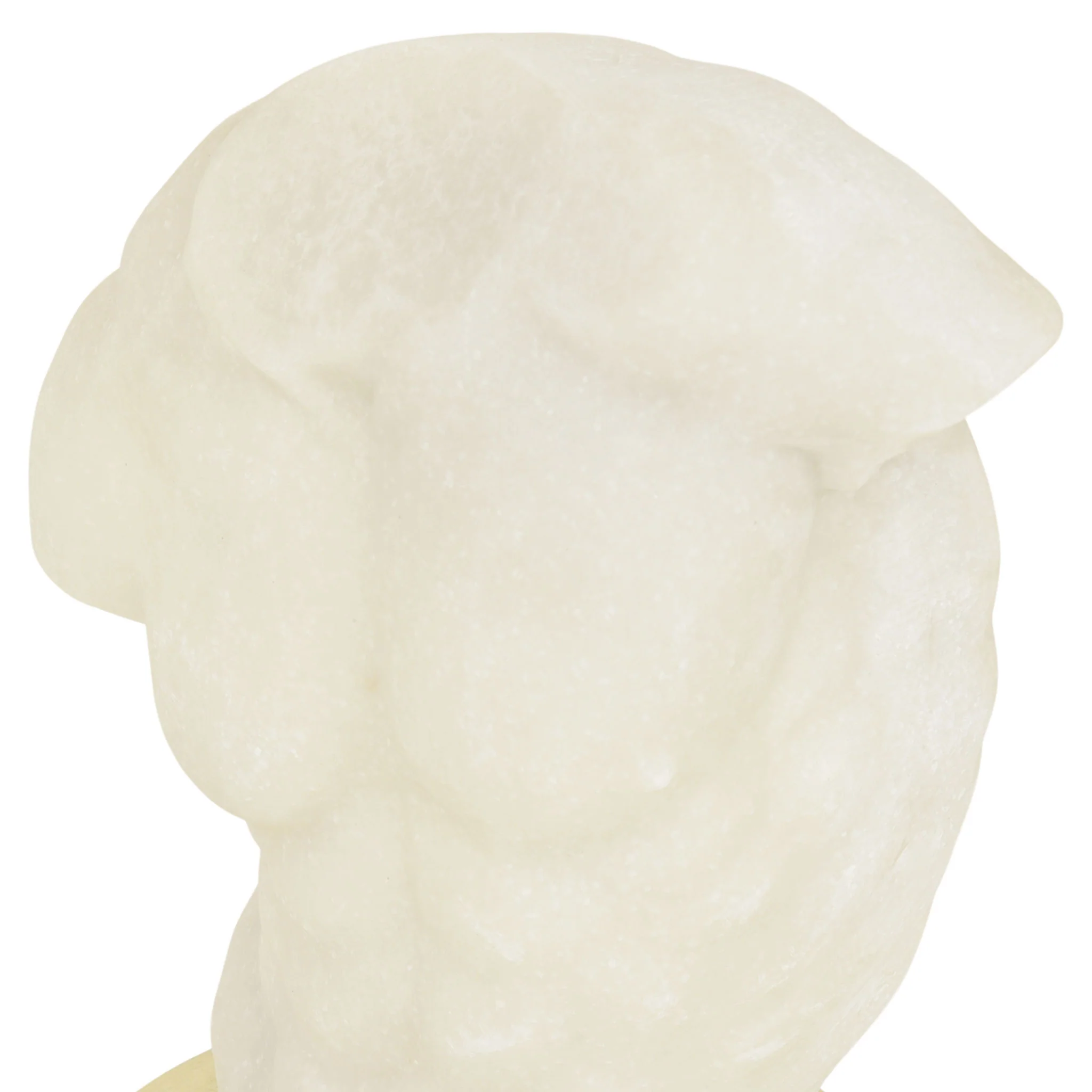 BUST Figurină - Image 8