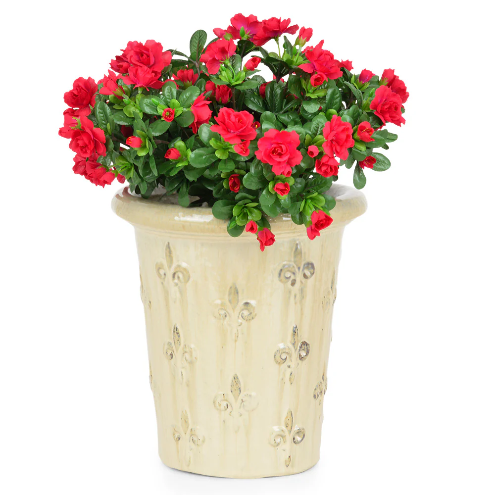 FLEUR DE LYS Ghiveci ceramica - Image 27