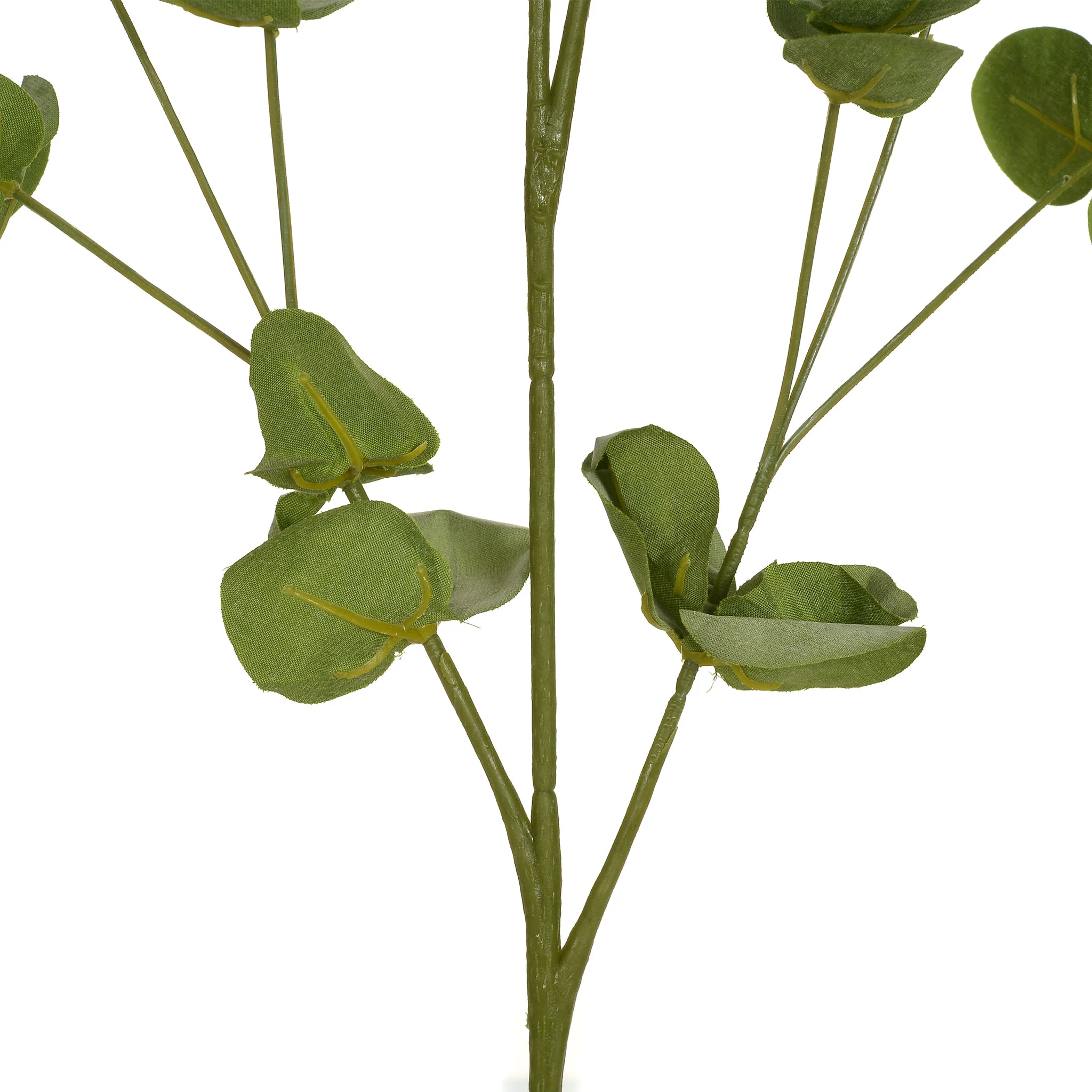 EUCALYPTUS Plantă artificială - Image 5